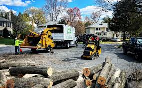 Best Hedge Trimming  in Slocom, AL