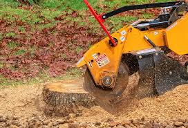 Best Commercial Tree Services  in Slocom, AL